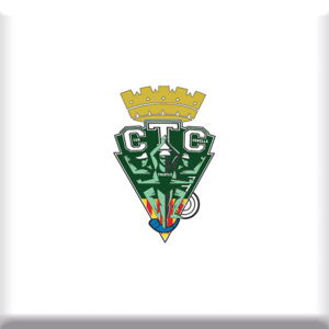 Logo imán